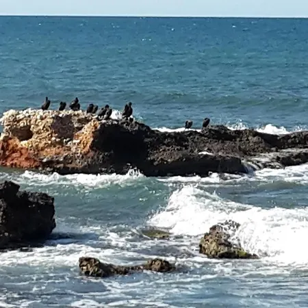 Precioso Sur Y Norte Cerca Playa Y Centro - Cascadas De La Marina Daire