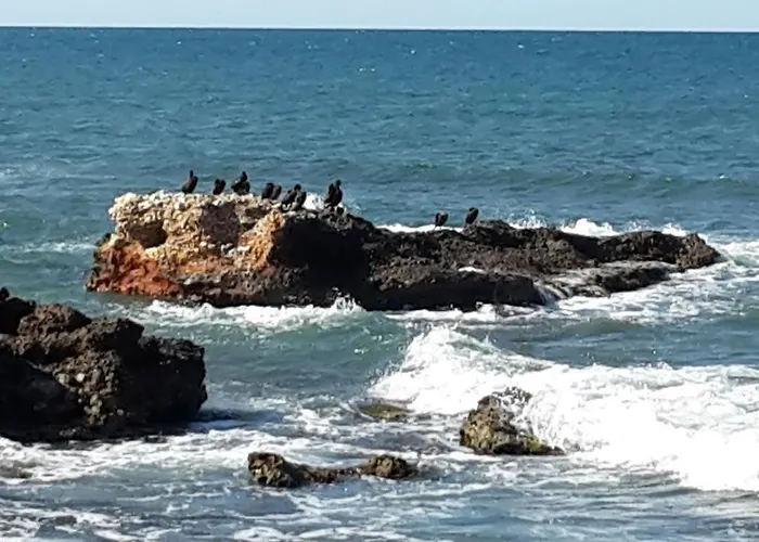 Precioso Sur Y Norte Cerca Playa Y Centro - Cascadas De La Marina Apartmán